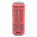 Monster Energy Pipeline Punch 1x24