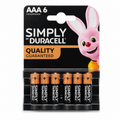 AAA Duracell Batteries (6x10)