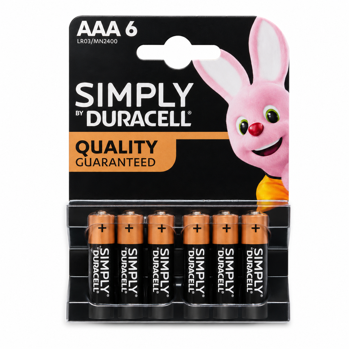 AAA Duracell Batteries (6x10)