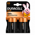 D2 Duracell Batteries (2x10)