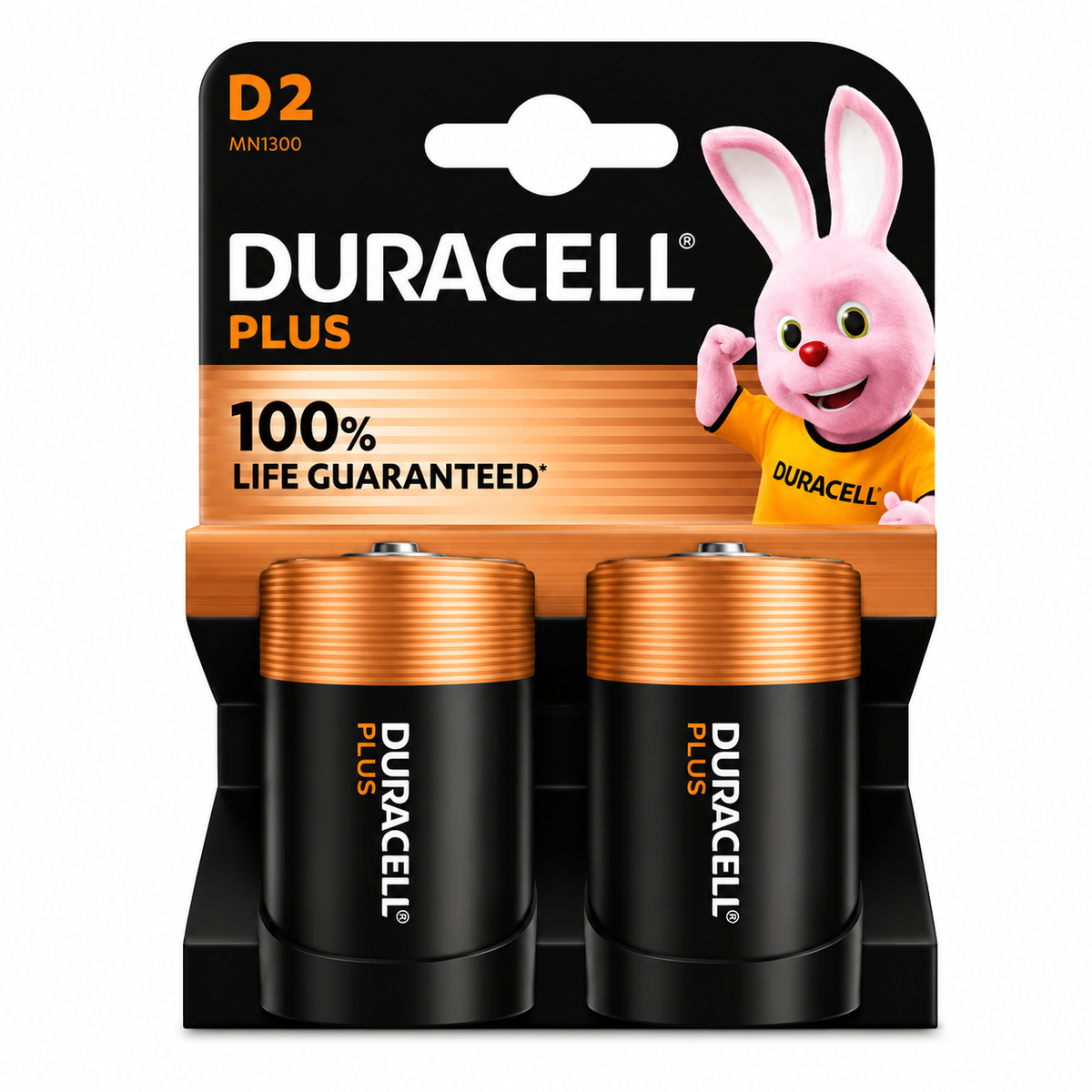 D2 Duracell Batteries (2x10)